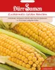 Kukurydza cukrowa Golden Bantham Podgląd zdjęcia produktu 3