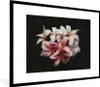 MuchoWow® MuchoWow® Gerahmtes Poster Blumen - Rosa - Produktbild-Vorschau 1
