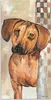 ARTland Wandbild Alu für Innen & Outdoor Hund Größe: 30x60 Produktbild-Vorschau 2
