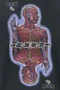 Tool T-Shirt Herren Lateralus schwarz Band-Merch, Bands Produktbild-Vorschau 4