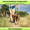 AVANA Hundeleine mit Kurzführer reflektierende Leine | 2 Produktbild-Vorschau 2