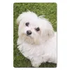 MuchoWow® Mauspad Mousepad Malteserhund schaut auf 18x27 cm Produktbild-Vorschau 1