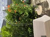 Rosenbogen Paris Rund B 1,60 m Schwarz Pergola Produktbild-Vorschau 10