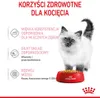 A kitten with a bowl of food, with text describing health benefits. Produktbild-Vorschau
