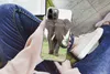 MuchoWow® Handyhülle Schutzhülle Hülle für iPhone 13 Pro Produktbild-Vorschau 3