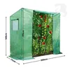 A green greenhouse filled with tomato plants, showing dimensions. Podgląd zdjęcia produktu