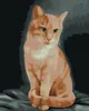 Zuty - Malen nach Zahlen - ROTER KATER (MYROSLAVA Produktbild-Vorschau 1