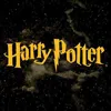 Harry Potter 1 und der Stein der Weisen. Schmuckausgabe Produktbild-Vorschau 2