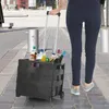 A person is pulling a black shopping trolley filled with bottles on a paved walkway. Anteprima dell’immagine prodotto