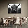 Leinwandbilder Schottisches Hochlandrind Kuh Tiere 100x70 Produktbild-Vorschau 2