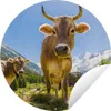 MuchoWow® Gartenposter Outdoor-Poster Rund Kühe - Sonne - Produktbild-Vorschau 1