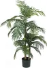 Palme Areca Golden Cane, 150 cm - Groen Productafbeelding-voorbeeld 1