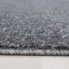 Kurzflor Teppich Alberto rechteckig, Farbe: Grau, Produktbild-Vorschau 4