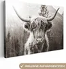 OneMillionCanvasses® - Plátno - Skotský horal - Kráva - Náhled obrázku produktu 1