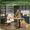 FLEXISPOT ValtreX E200 Biurko z regulacją wysokości 180 x Podgląd zdjęcia produktu 15