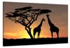 5034 Afrika Giraffen Leinwandbild 120x80 cm Produktbild-Vorschau 1