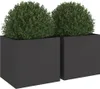 Two black square planters with green bushes inside, set against a white background. Náhled obrázku produktu
