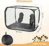 A transparent grow tent with two glove ports, showing dimensions and a small bunch of mushrooms. Produktbild-Vorschau