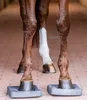 The hind legs of a horse are shown standing on square pads. Produktbild-Vorschau