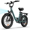 URLIFE E20 E-bike - 250W Motor 48V 13Ah Batéria 20 Palcové Náhľad obrázku produktu 1