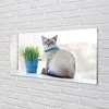 Glasbilder 100x50 Wandkunst sitzende Katze Produktbild-Vorschau 2