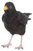 Oiseau décoratif d'extérieur en polyrésine Merle Voir les images du produit 3