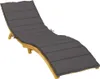 A chaise lounge with a gray cushion on a white background. Náhľad obrázku produktu