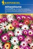 Kiepenkerl Mittagsblume Prachtmischung Produktbild-Vorschau 1