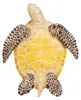 Safari Ltd Sea Turtle Brown One Size Produktbild-Vorschau 4