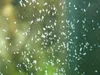 Femanga Wurzel Aktiv 250 ml - účinná léčba šneků v Náhled obrázku produktu 5