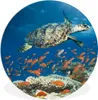 MuchoWow® Rundes Wandbild - Runde Bilder Korallenriff mit Produktbild-Vorschau 1