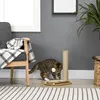 PawHut Kratzstamm für Katzen, 40 cm, Kletterbaum mti Produktbild-Vorschau 2