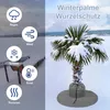 Winterschutz für Pflanzen, Winterbaum Schutzhaube, Palmen Produktbild-Vorschau 6