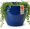 Keramik Pflanztopf Eggpot Royal Blau Ø48cm Frostfest Produktbild-Vorschau 1