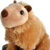 Kapibara - Jucarie Plus Wild Republic 30 cm Podgląd zdjęcia produktu 2