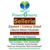 Sellerie Samen Selleriesamen Celery Seed 360 Pulver Kapseln Produktbild-Vorschau 2