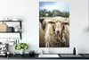 MuchoWow® Poster Porträt eines Schafes 80x120 cm - Produktbild-Vorschau 4