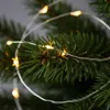 A close-up shot of a string of LED lights wrapped around pine tree branches. Náhľad obrázku produktu