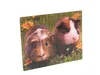 3 D Magnet Meerschweinchen 9 x 7 cm, Tiere Waldtier, Produktbild-Vorschau 1