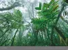 Die letzten Paradiese - Edition Alexander von Humboldt Produktbild-Vorschau 10