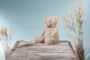 Steiff Teddybär Honey 48 cm 113482 Produktbild-Vorschau 2