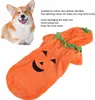 Halloweenowe ubranko dla psa z dynią, uroczy ciepły kostium Podgląd zdjęcia produktu 5