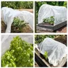 MIKONI Pflanzvlies | 1,1 m x 5 m |  Weiß | Frostschutzvlies Produktbild-Vorschau 1
