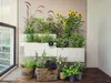GARDENA Solar-Bewässerungs-Set AquaBloom Set Produktbild-Vorschau 6