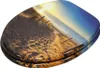 A toilet seat with a beach sunset scene printed on it. Náhľad obrázku produktu