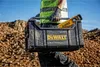 A person in a high-visibility vest and gloves carries a Dewalt toolbox containing a level. Podgląd zdjęcia produktu