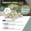 REAVET Zink Tabletten für Hunde 120 Stück – Hochdosiert mit Produktbild-Vorschau 3