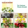 A collage showing a grow light and before/after images of plants, flowers, and cherries. Náhľad obrázku produktu