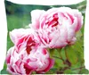 MuchoWow® Zierkissen Sofakissen Wohnzimmer Dekokissen 50x50 Produktbild-Vorschau 1