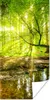 MuchoWow® Poster Wald - Landschaft - Wasser - Bäume - Sonne Produktbild-Vorschau 1